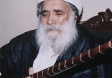 درویش امیر حیاتی